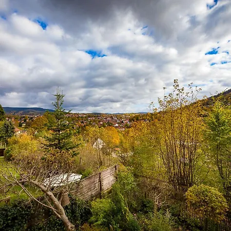 Birkenchalet, Idyllisch Am Waldrand Mit Sauna Und Kamin