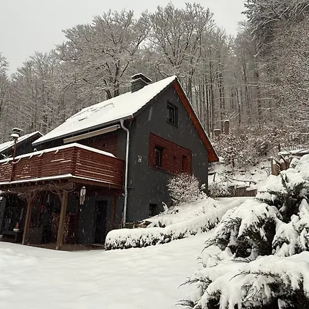Birkenchalet, Idyllisch Am Waldrand Mit Sauna Und Kamin شاليه تسيلا-ميليس